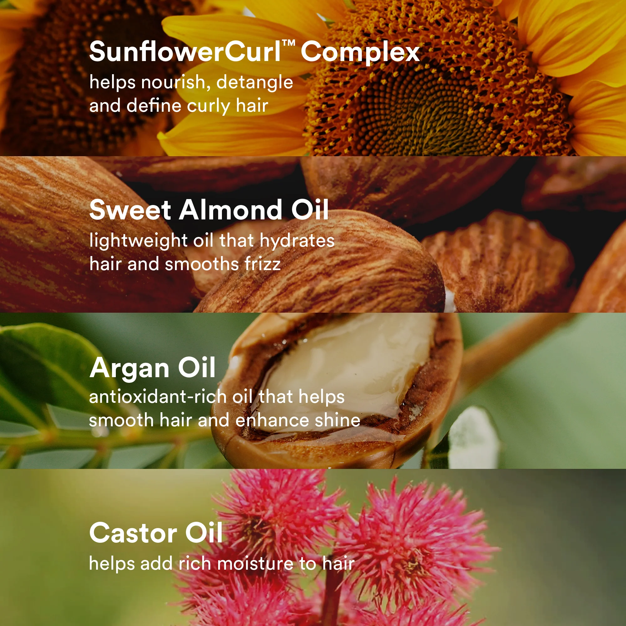 curl oil - Image 11